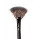 Fan Brush