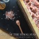 All-Natural Handmade Soap: The Salt of the Himalayas (Emu Oil Based)